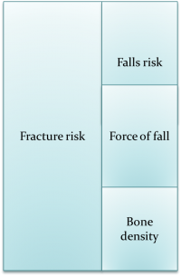 fracture-risk